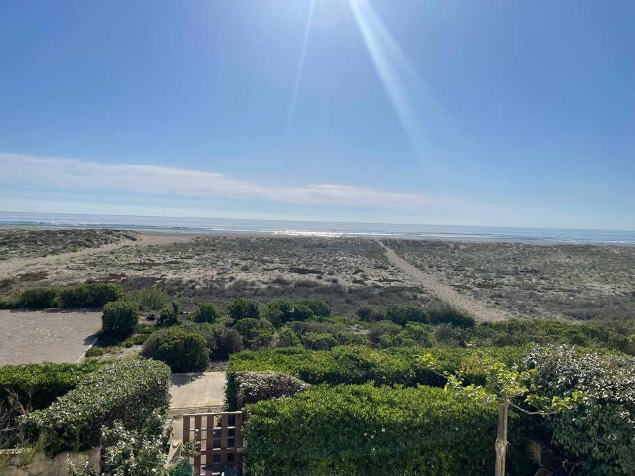 Port Leucate : Superbe Appartement Pleine Vue Mer Exteriör bild